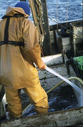 Fisherman Washing the Deck